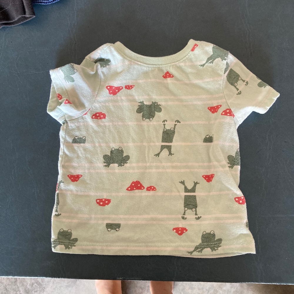 Frog Shirt